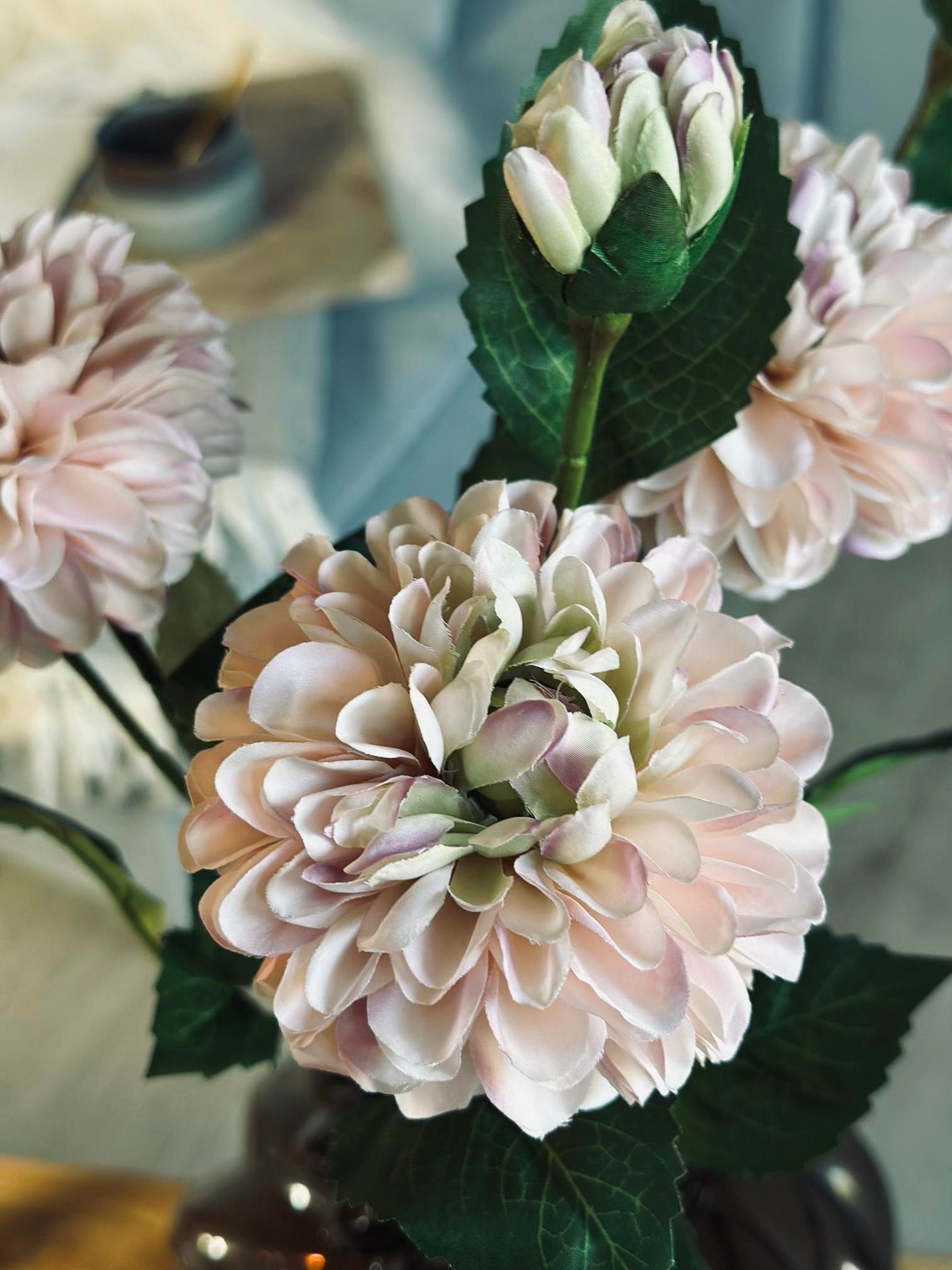 Blomst Dahlia