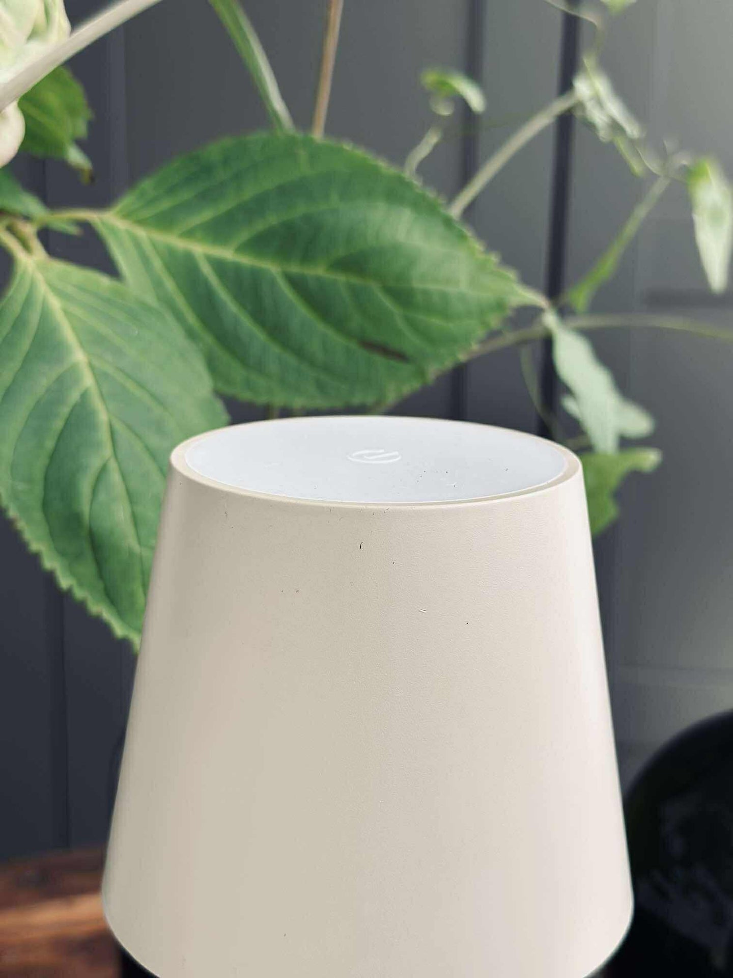 LED-lampe til vinflaske - Krem MIX