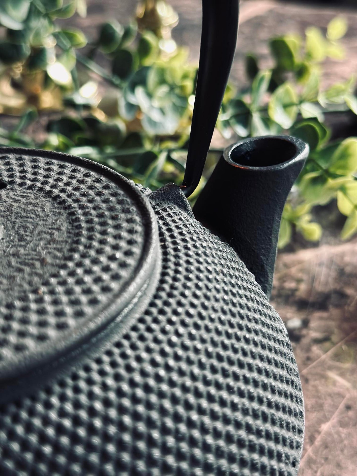 Tekanne i støpejern - 1200ml