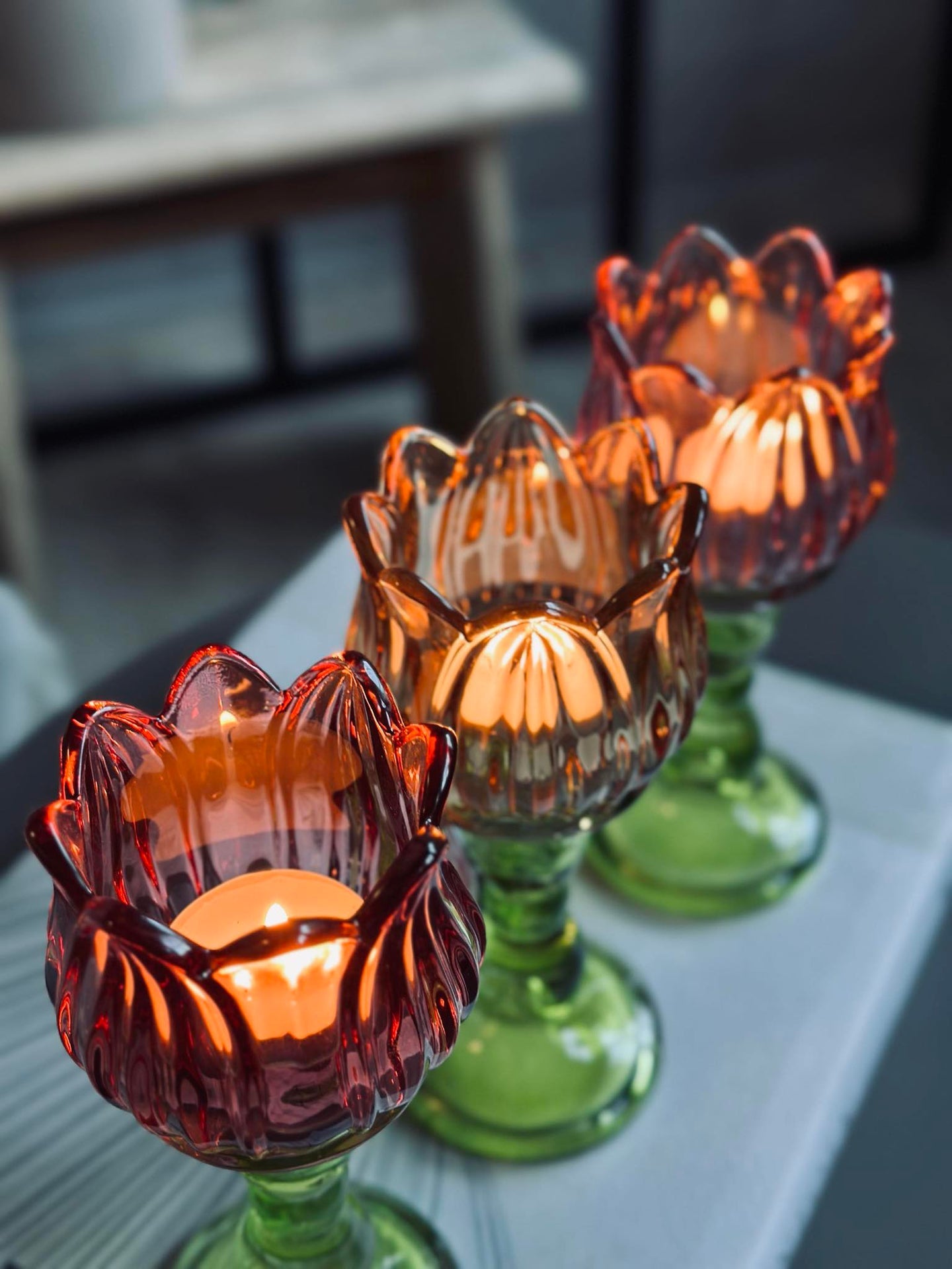 Lysestake flower brown