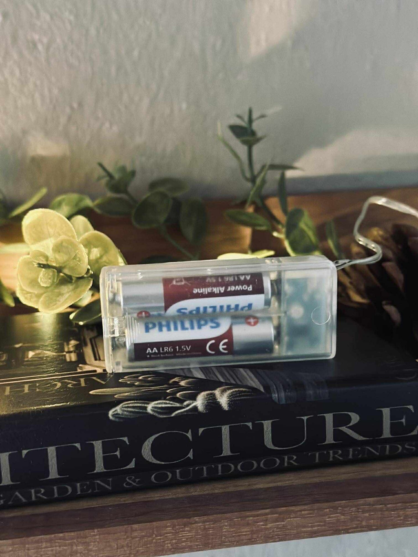 Lyslenke med grønne eukalyptusblader