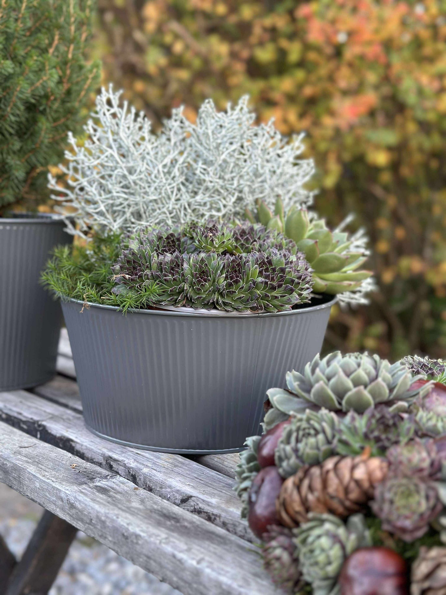 Rund potte med riller - Grå