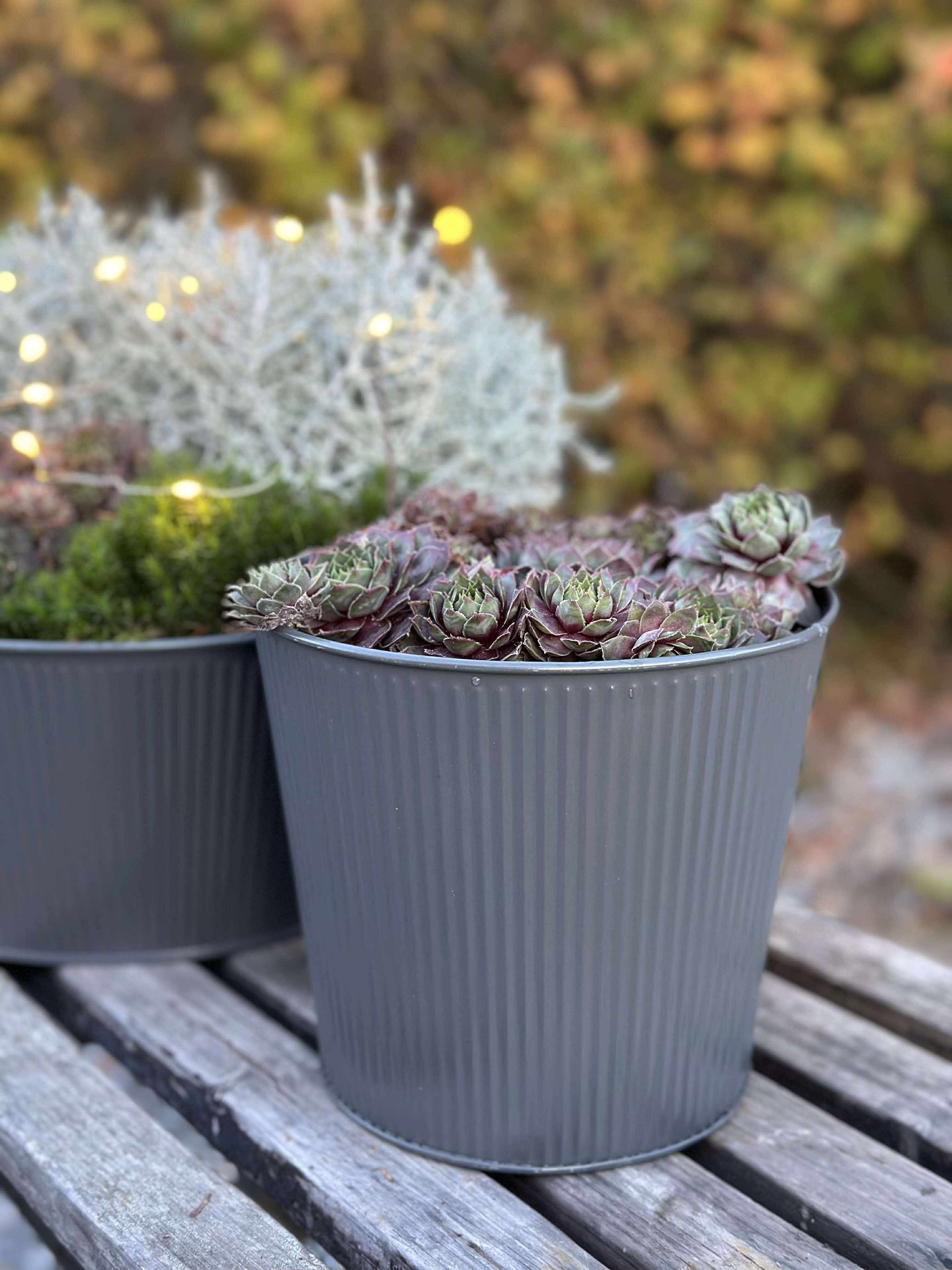 Skjuler med riller - Grå