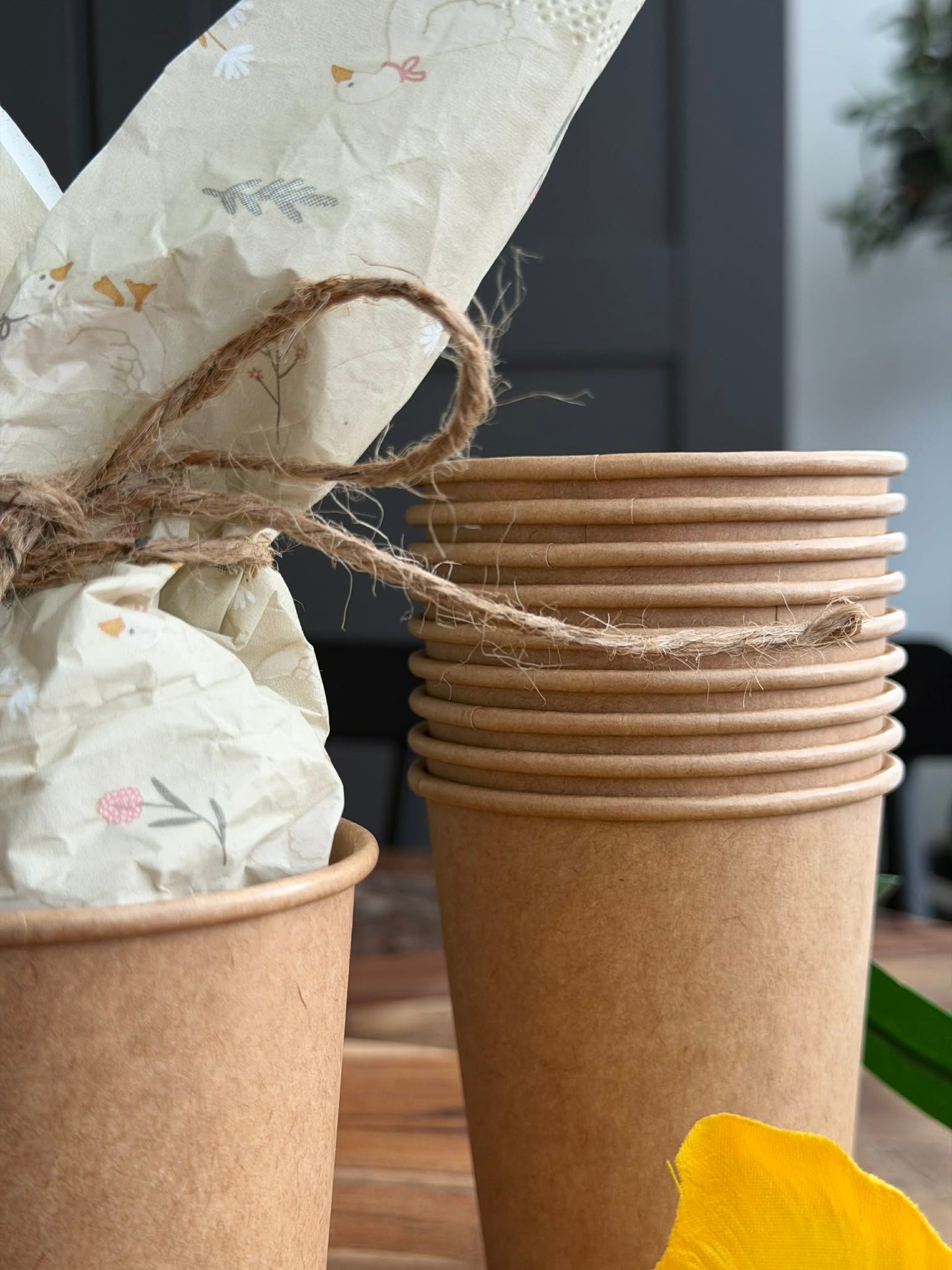 Kopper 10 stk. - Papp 250 ml