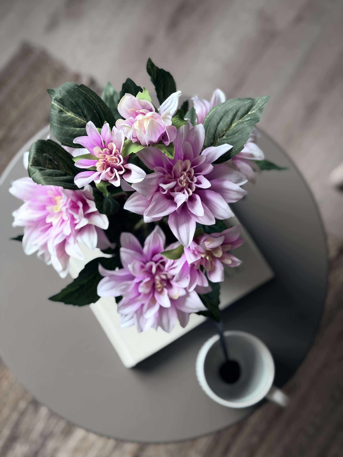 Dahlia i potte - Lyserosa