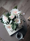 Dahlia i potte - Hvit