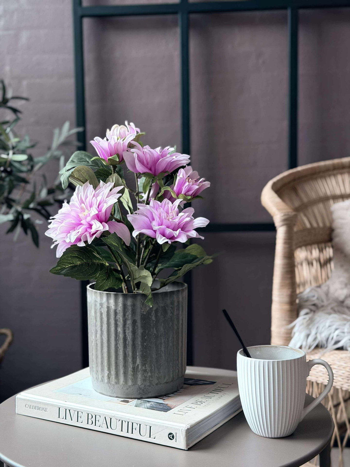Dahlia i potte - Lyserosa