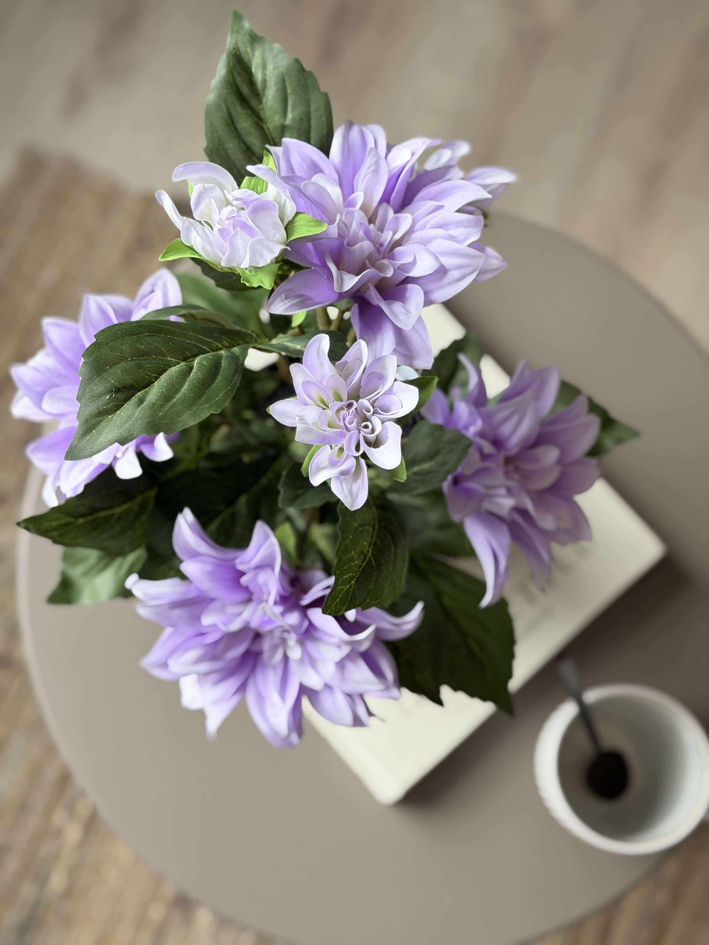 Dahlia i potte - Lilla