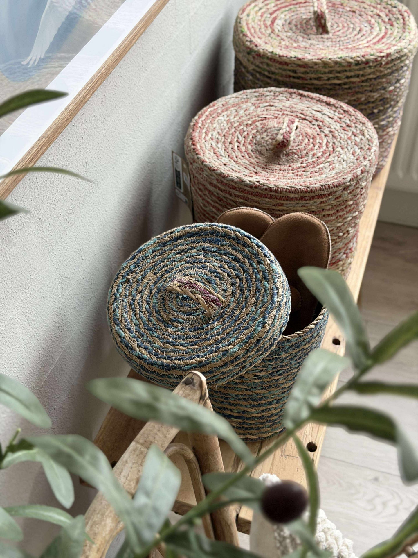 Kurver med lokk COLOR - Sett 3 stk