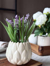 Lavendel mosekule