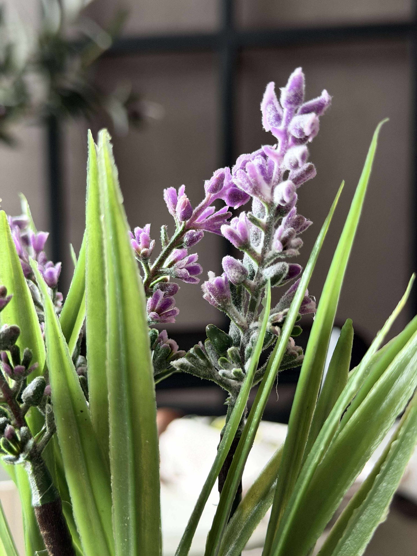 Lavendel mosekule