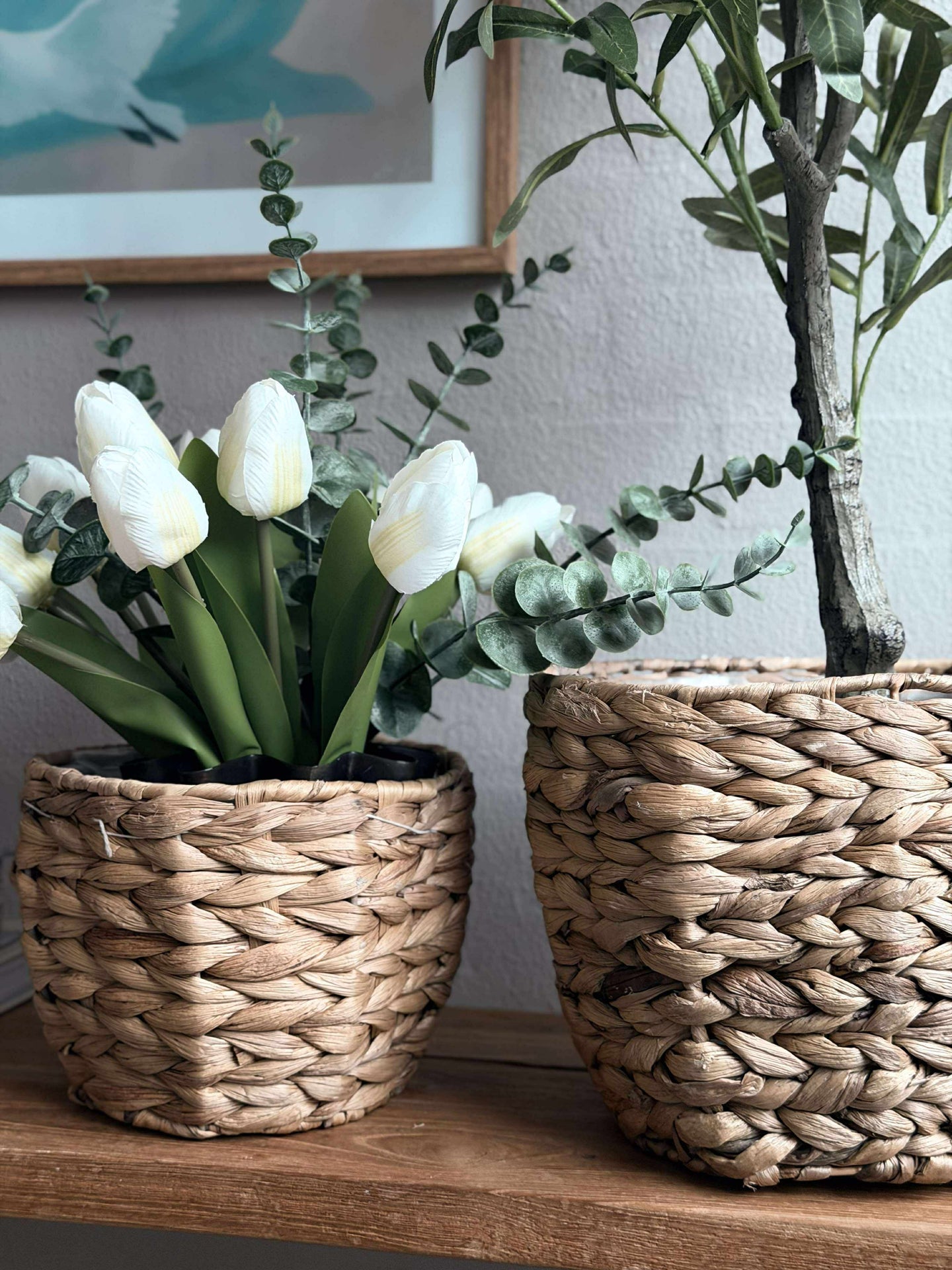Plantekurver i vannhyasint - Sett med 2 stk.
