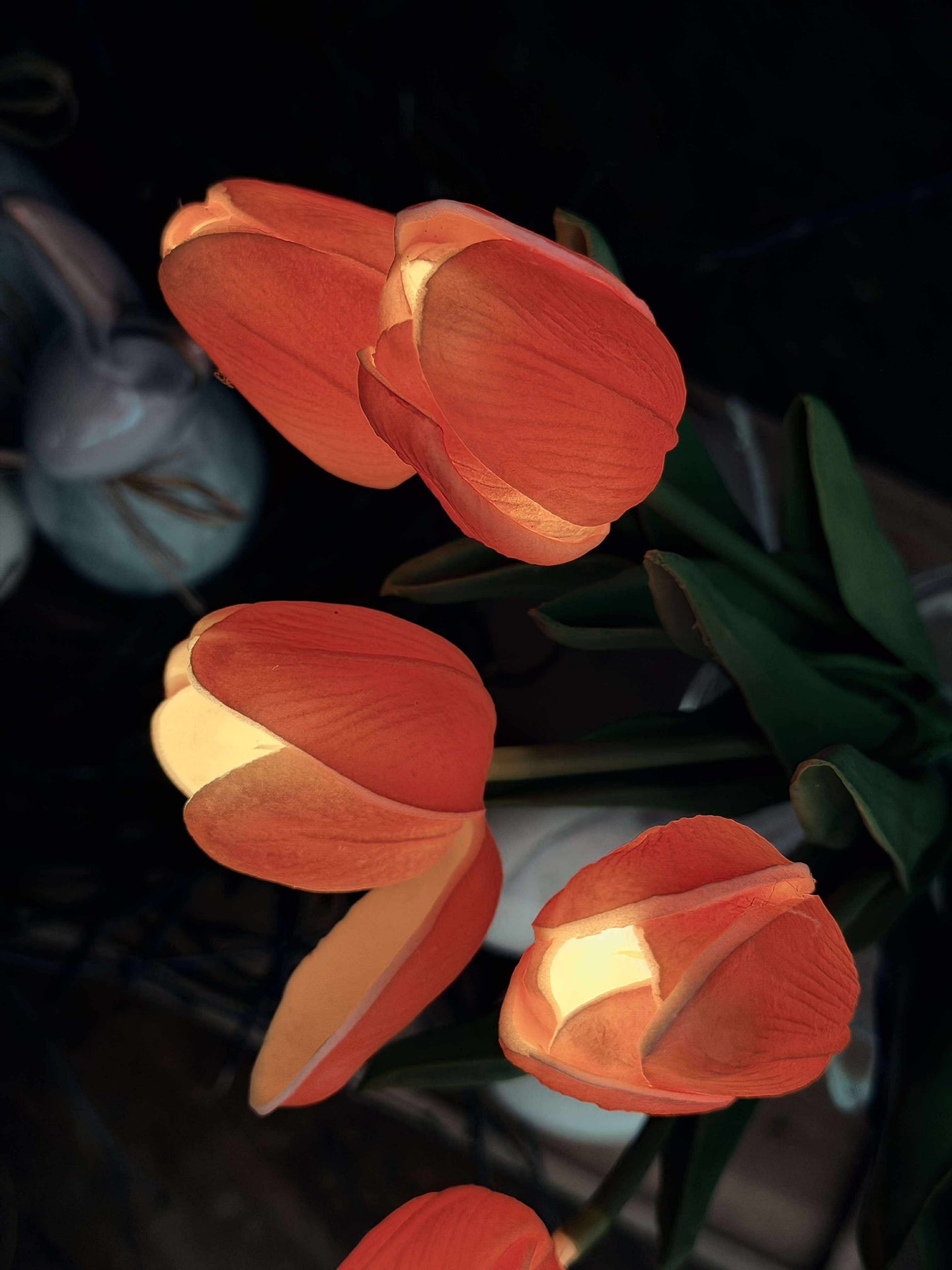 Tulipaner med lys - Rød