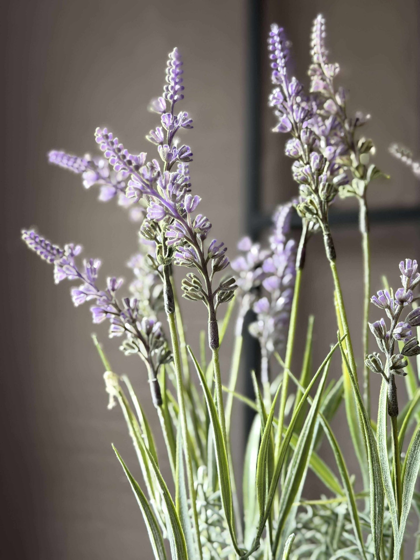 Blomst i potte