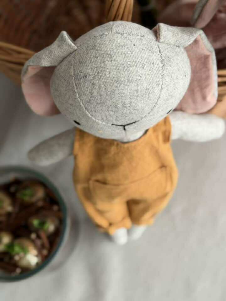 Kaningutt og Kaninjente