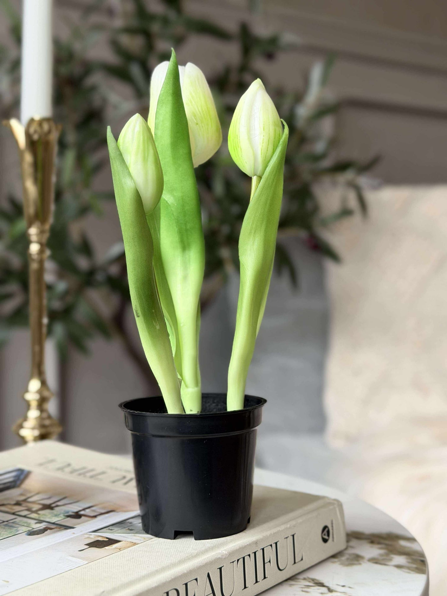 Tulipan i potte - Hvit med 3 blomster