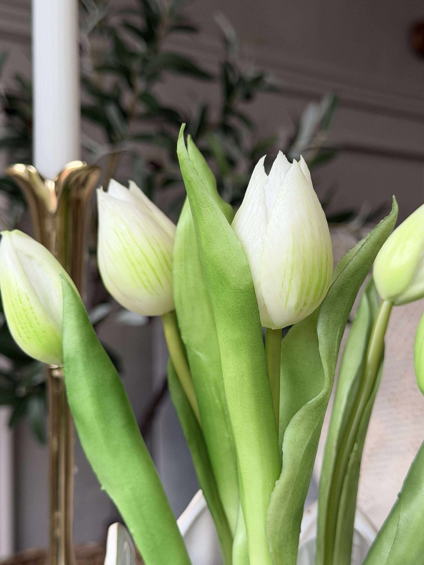 Tulipan i potte - Hvit