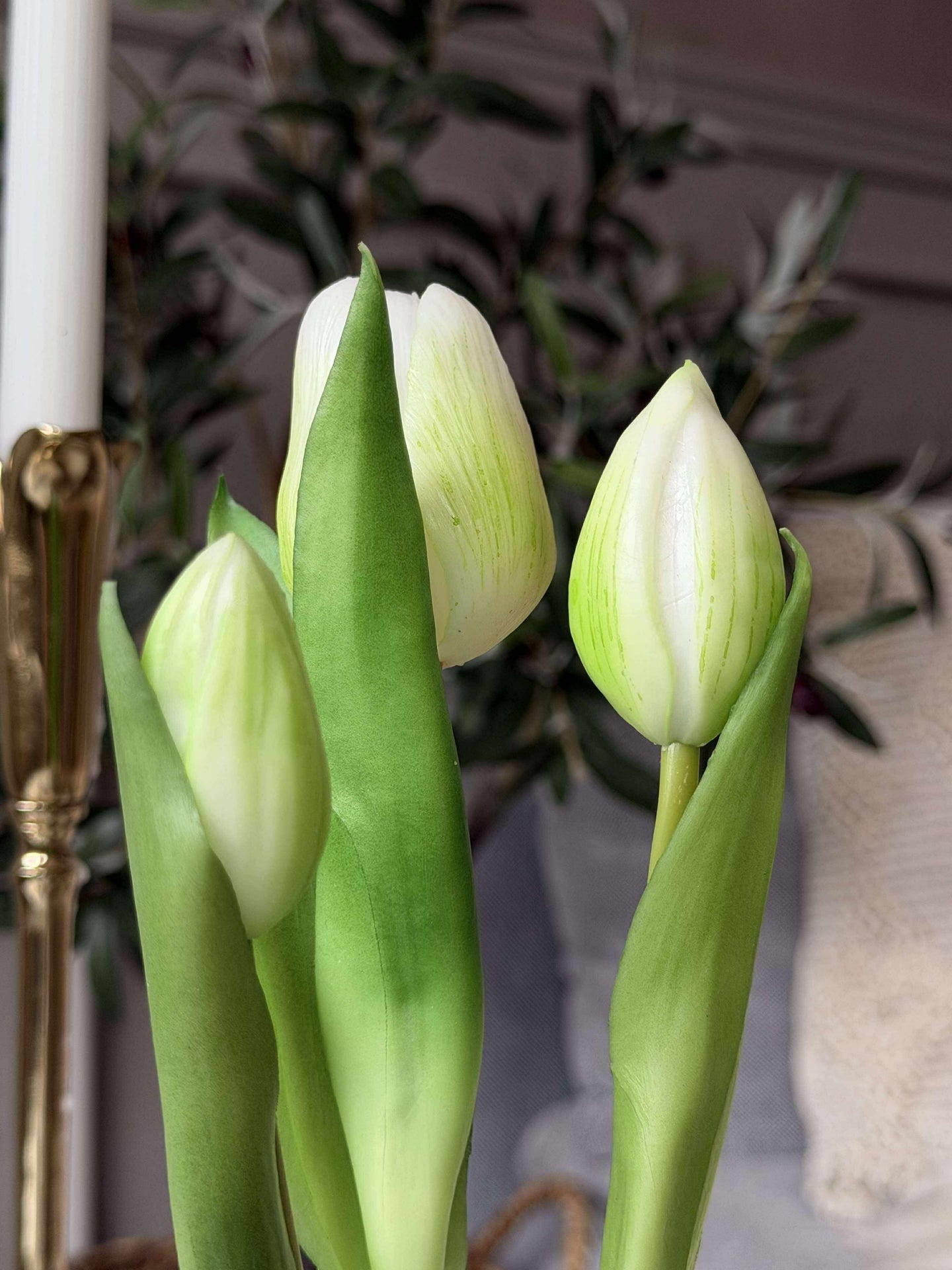 Tulipan i potte - Hvit med 3 blomster