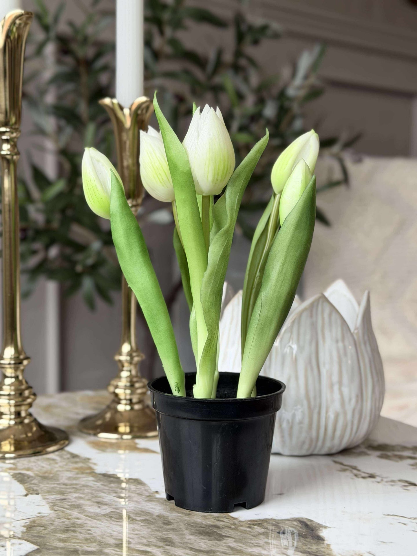 Tulipan i potte - Hvit