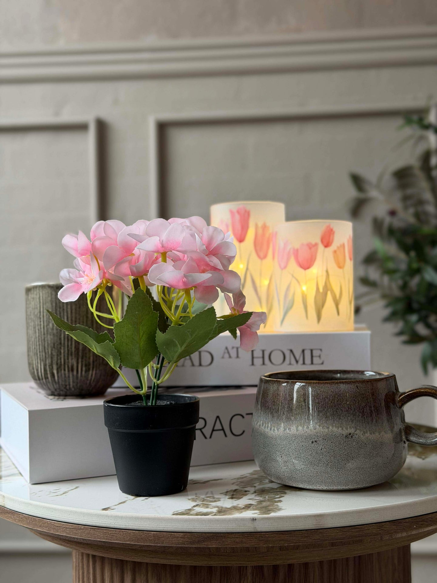 Mini hortensia i potte - flere farger
