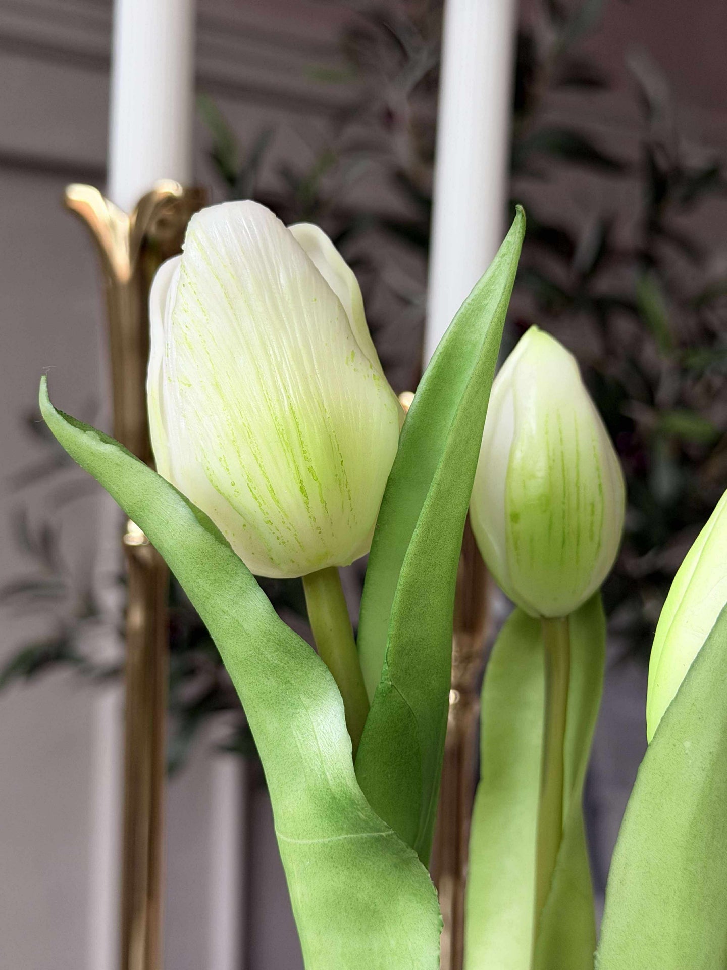 Tulipan i potte - Hvit med 3 blomster