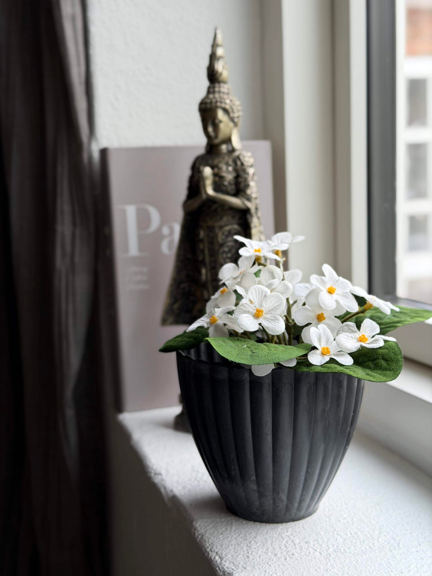 Saintpaulia i potte - flere farger