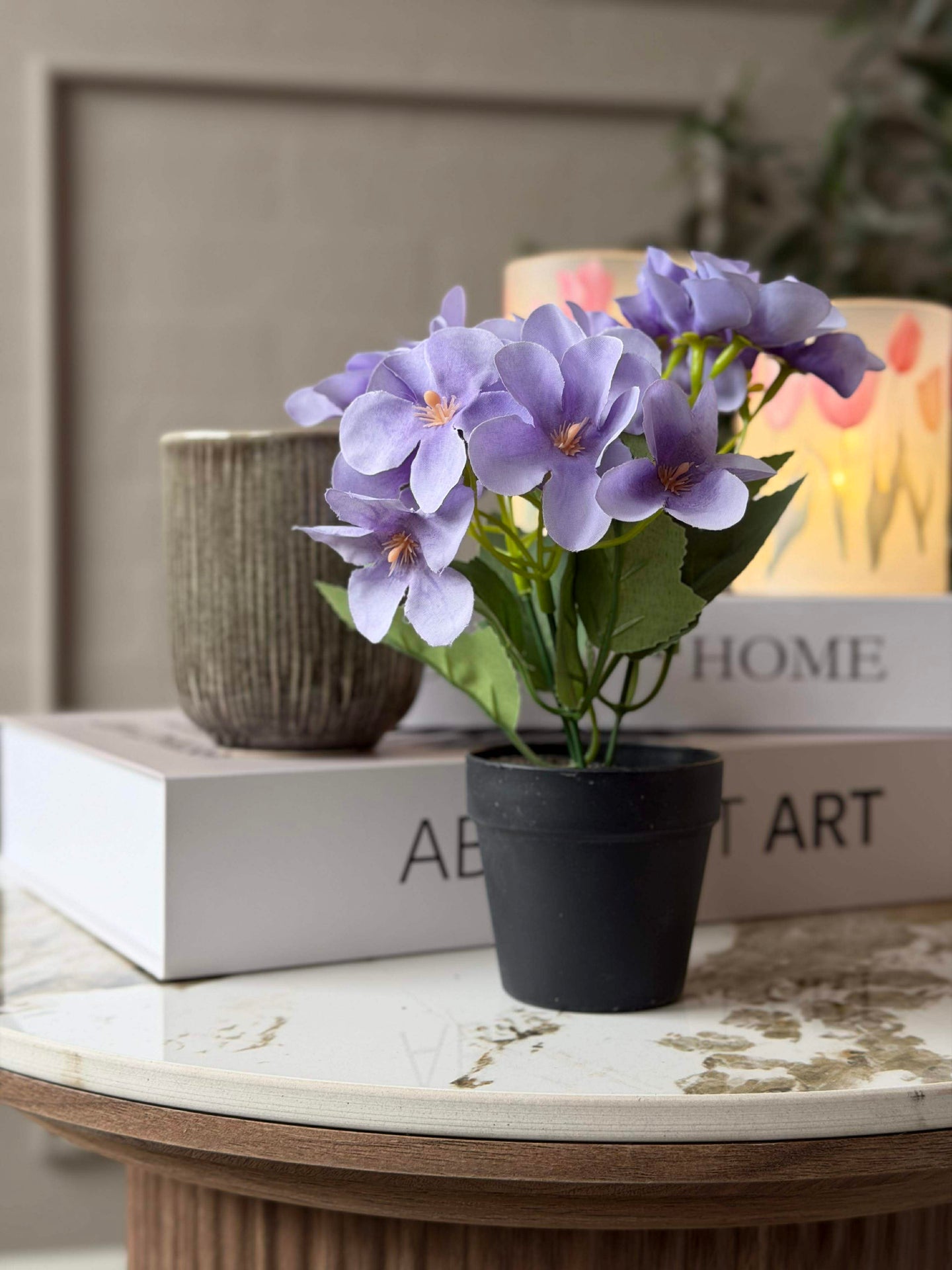 Mini hortensia i potte - flere farger
