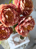 Blomst Peon Rosa