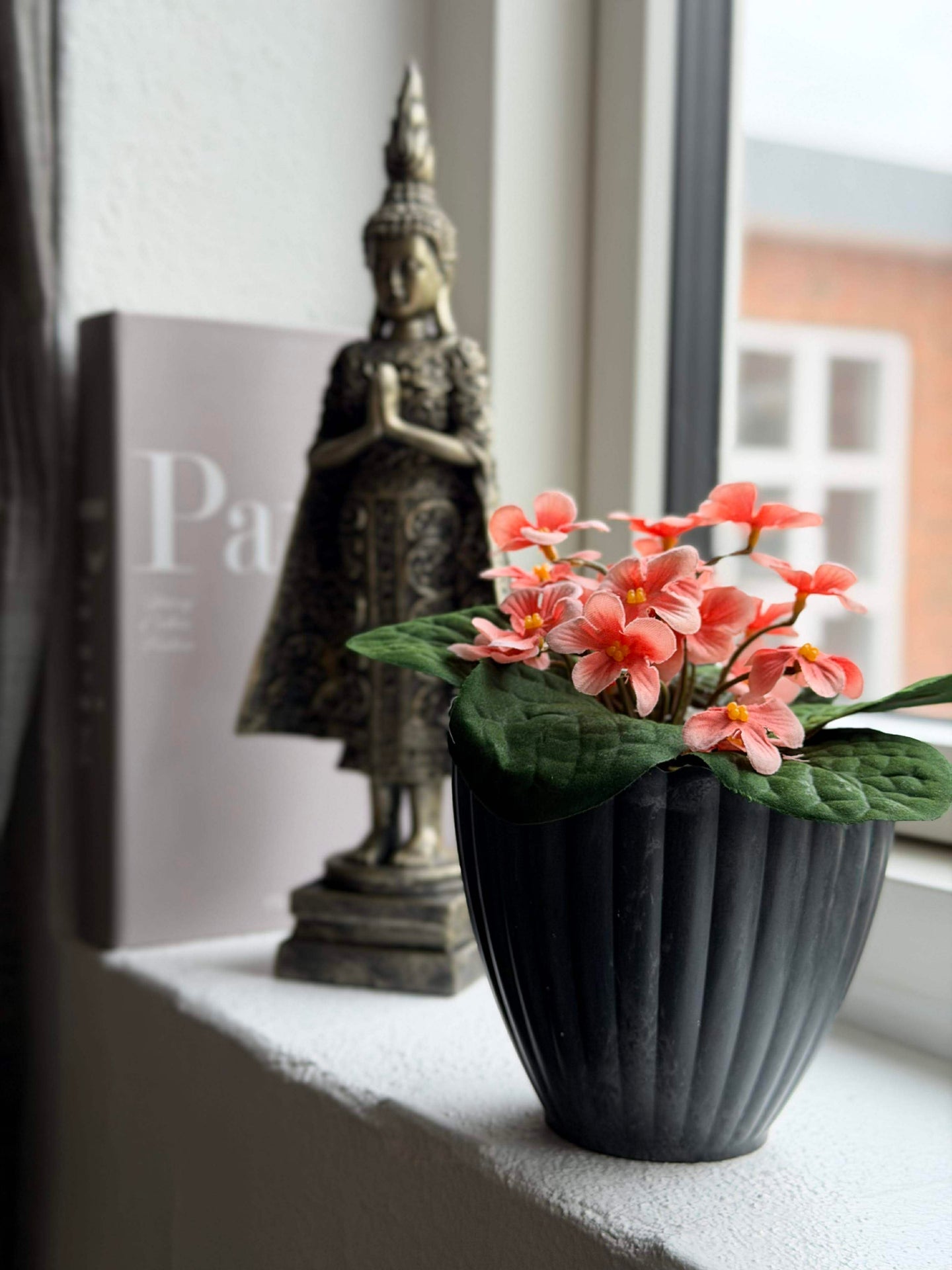 Saintpaulia i potte - flere farger