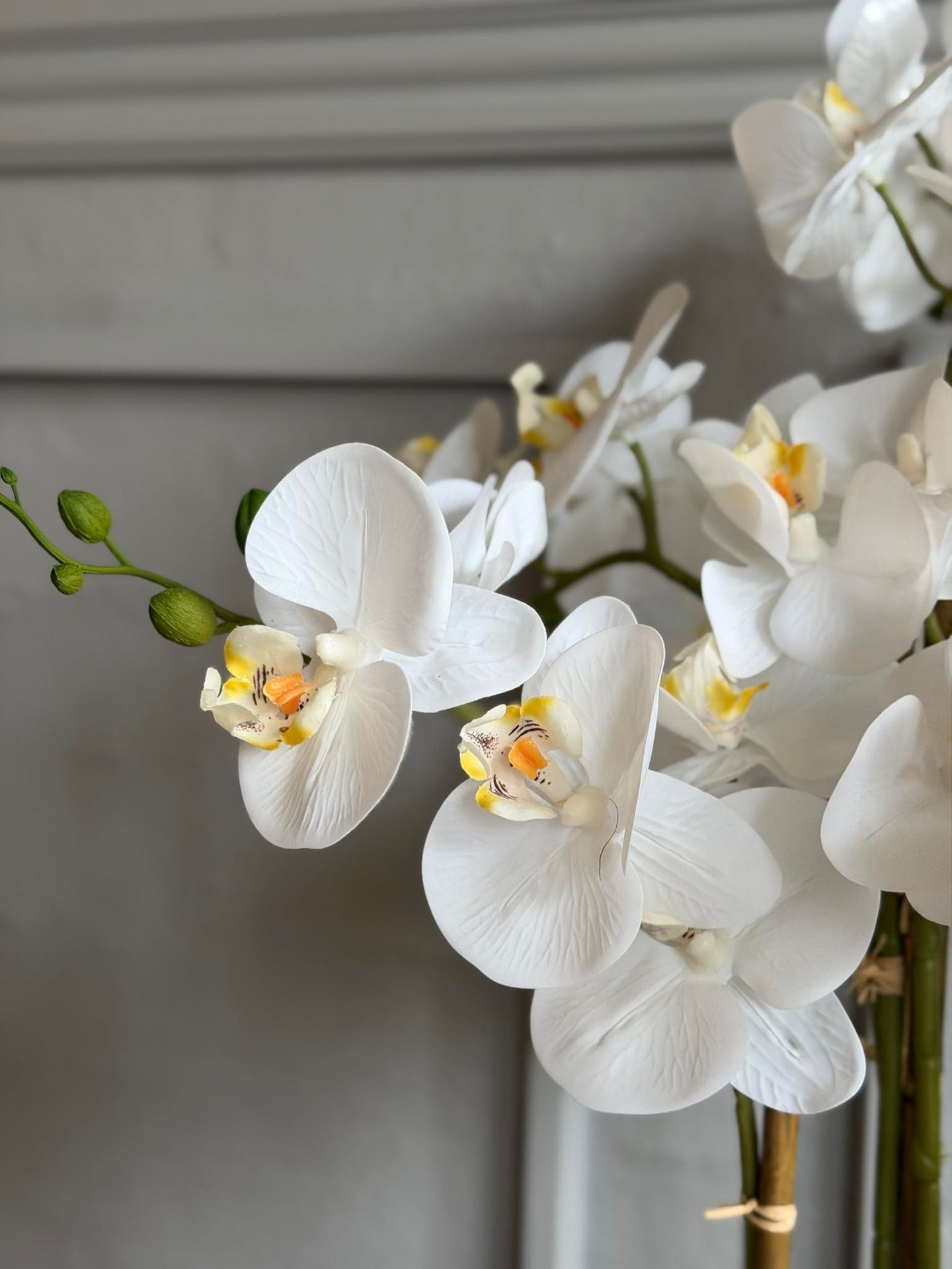 Orkidé i potte 65 cm - Hvit