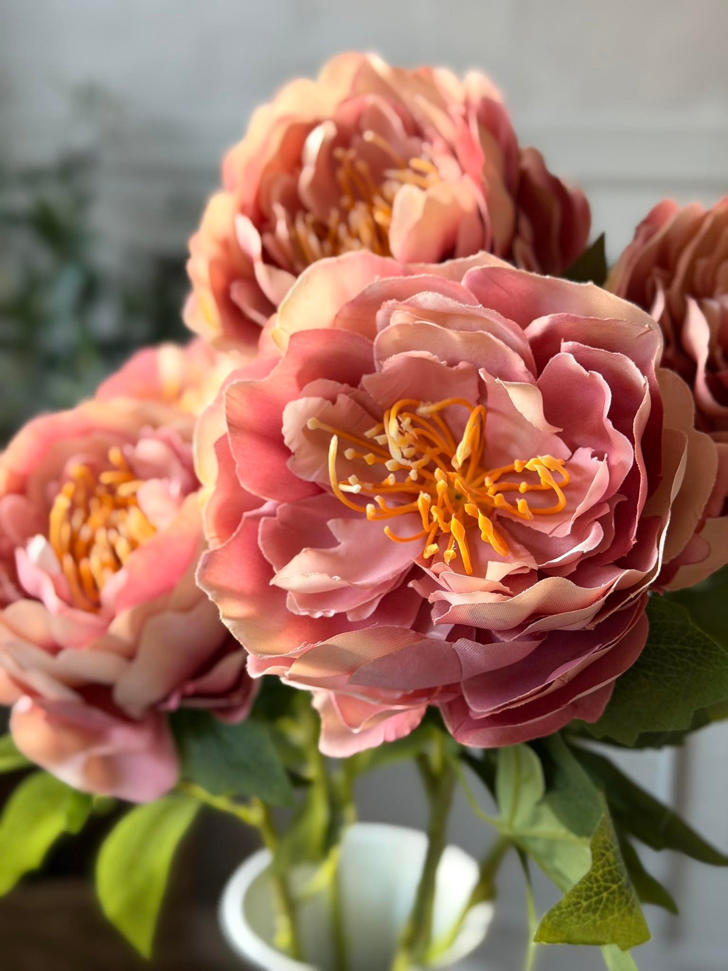 Blomst Peon Rosa