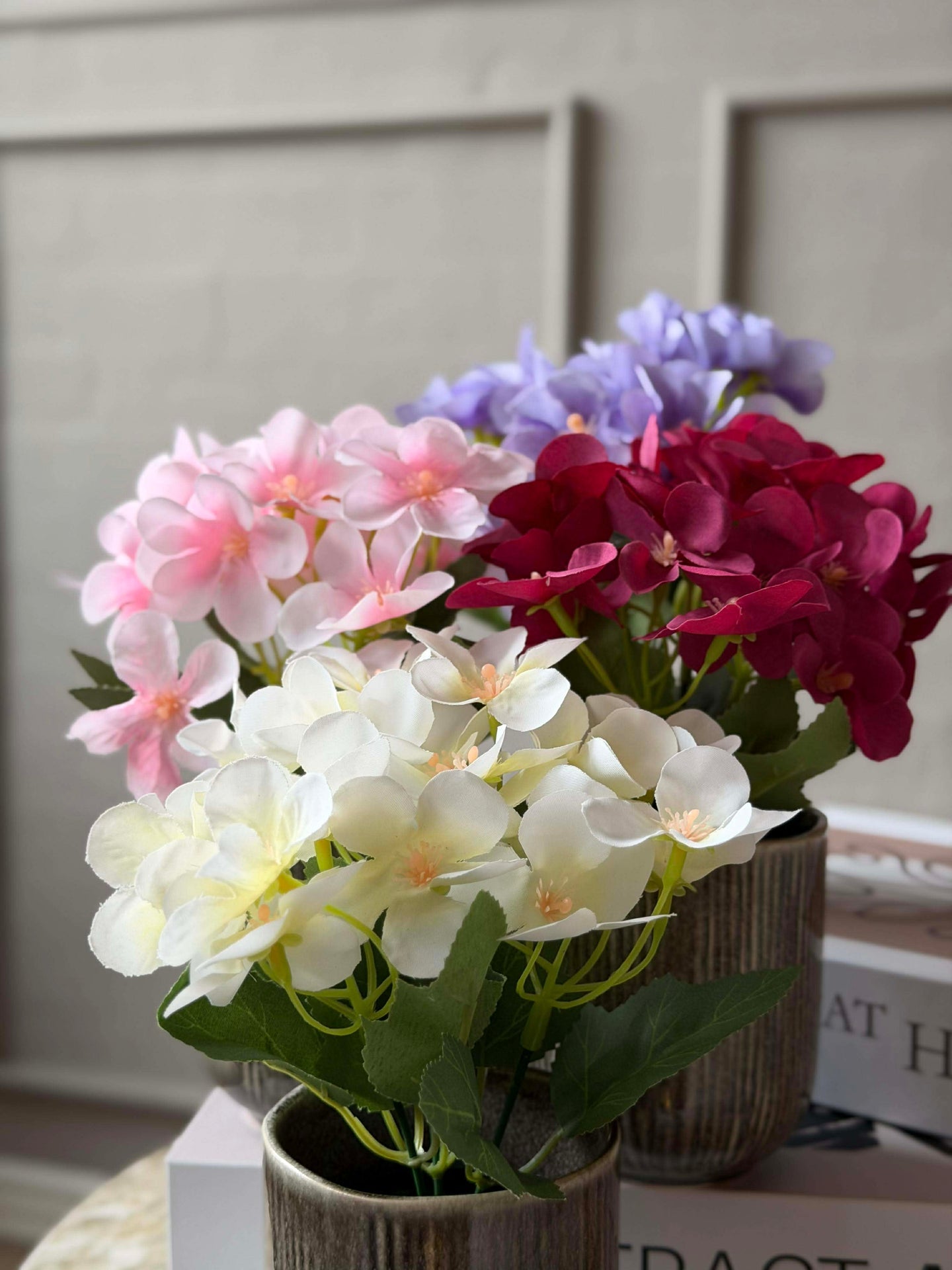 Mini hortensia i potte - flere farger