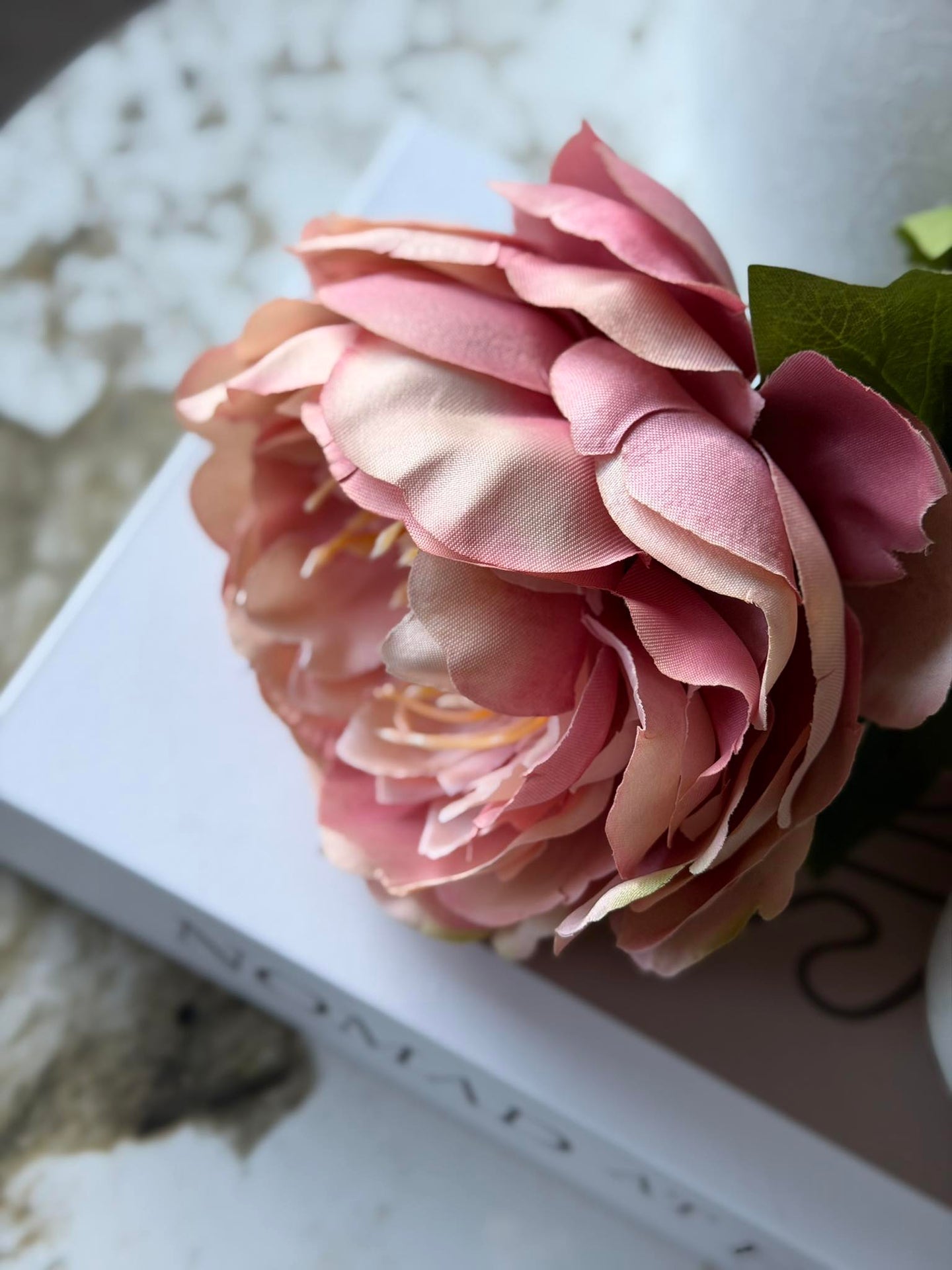 Blomst Peon Rosa