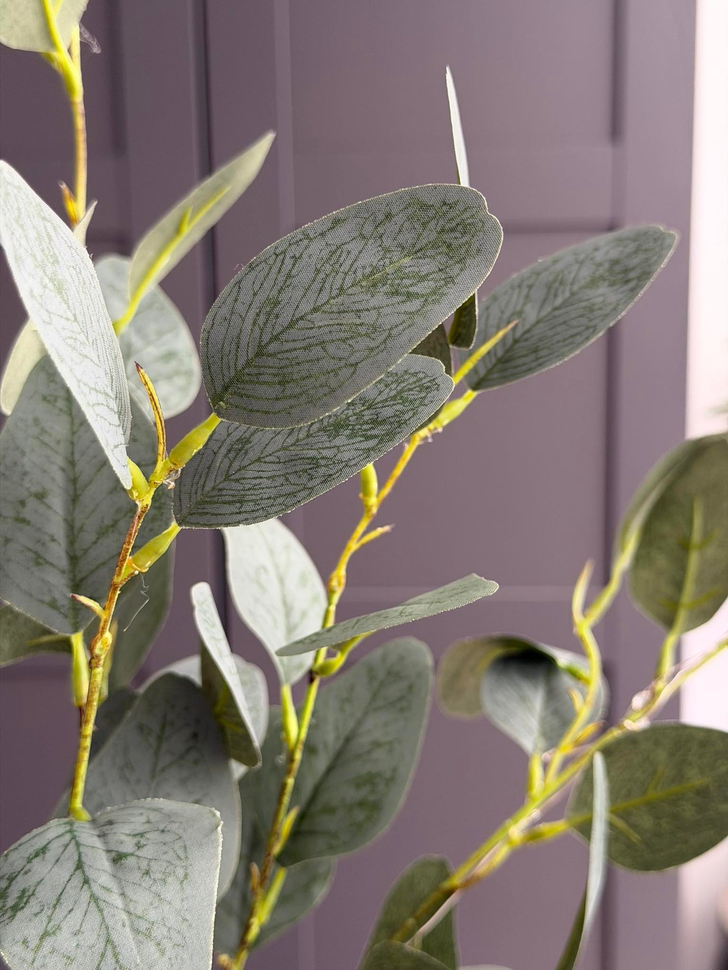 Eukalyptus gren med lys - 100 cm