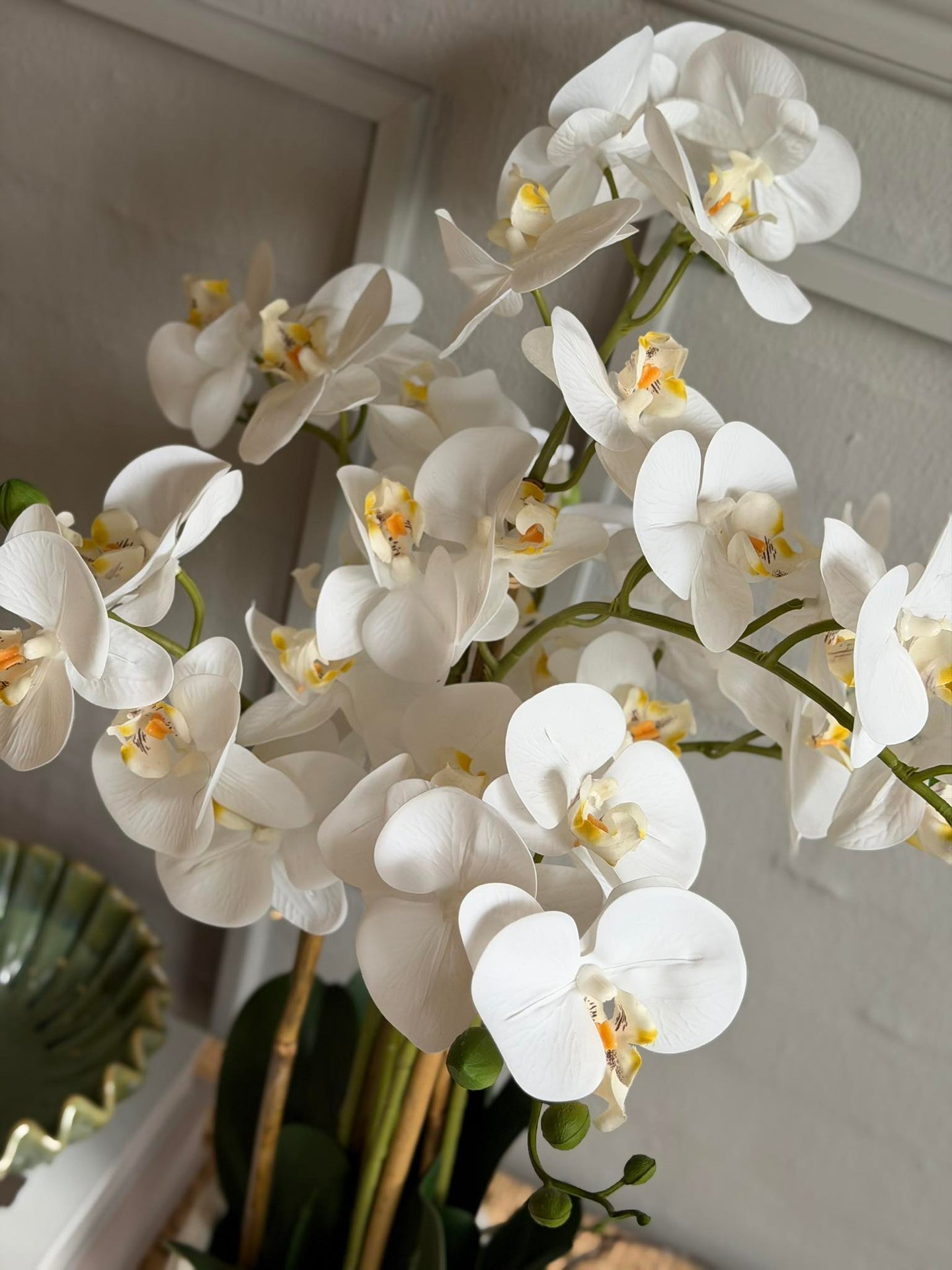 Orkidé i potte 65 cm - Hvit