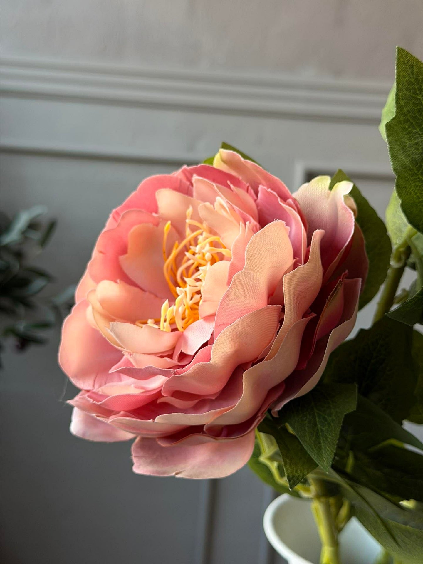 Blomst Peon Rosa