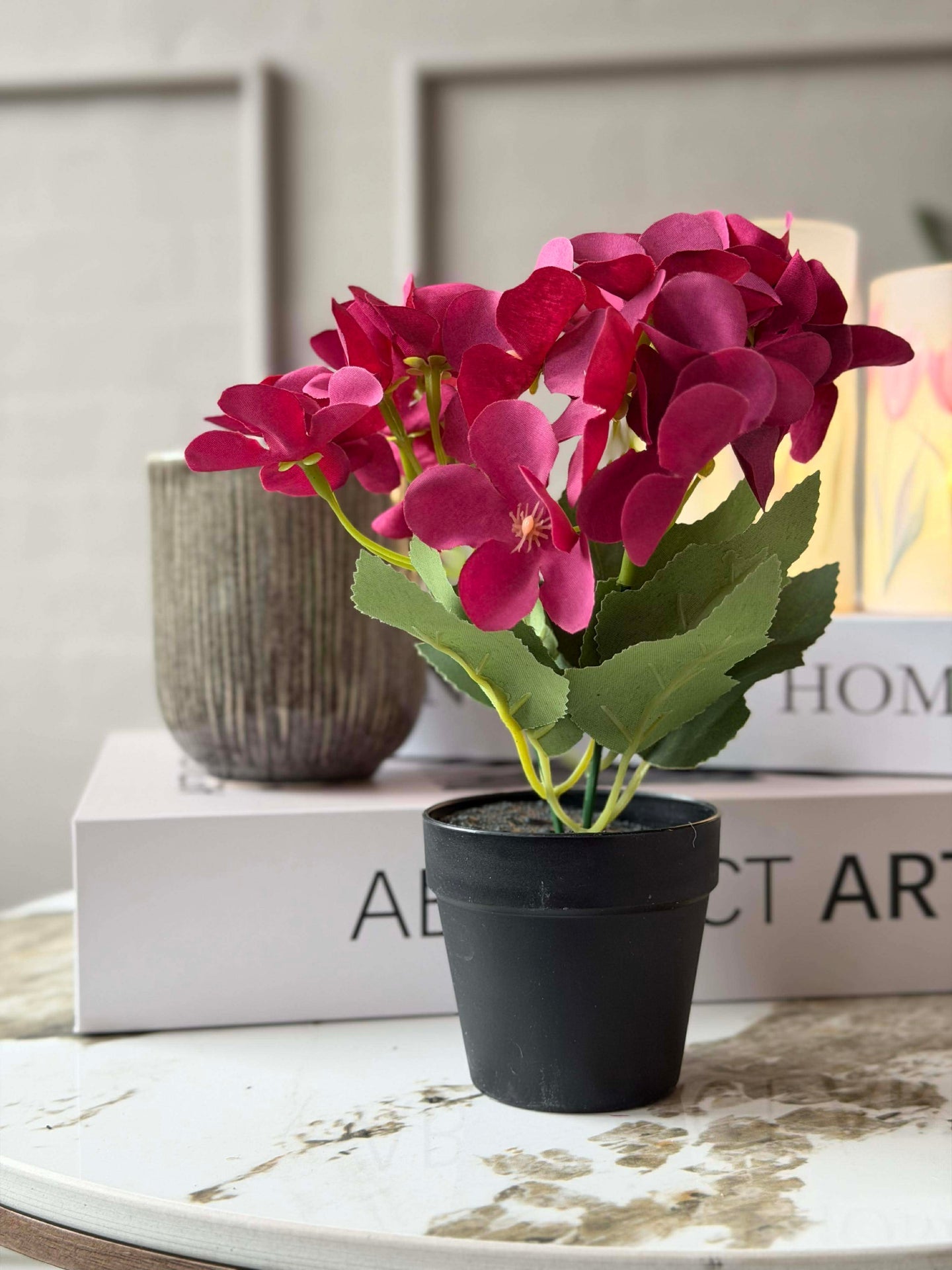 Mini hortensia i potte - flere farger