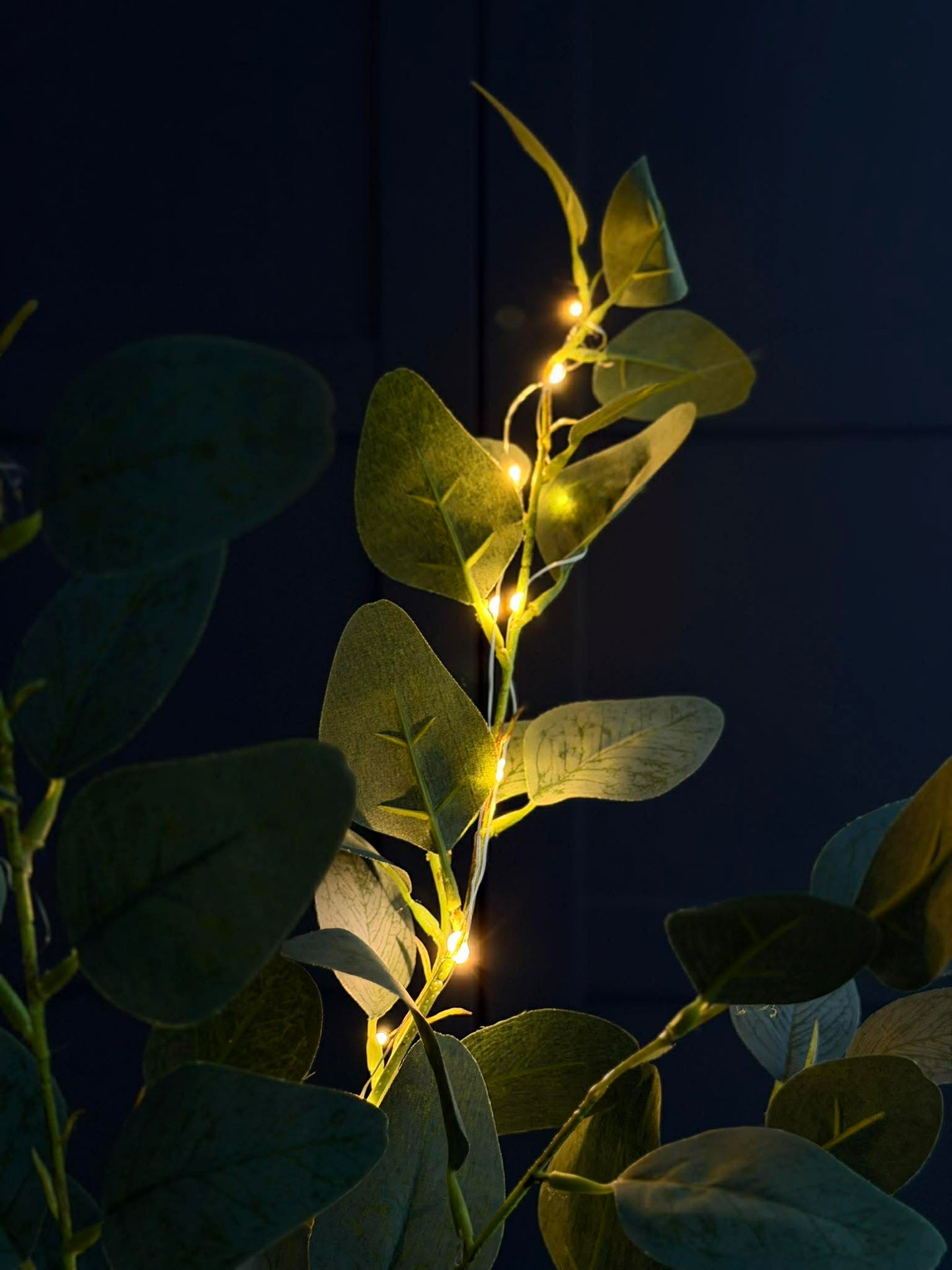 Eukalyptus gren med lys - 100 cm