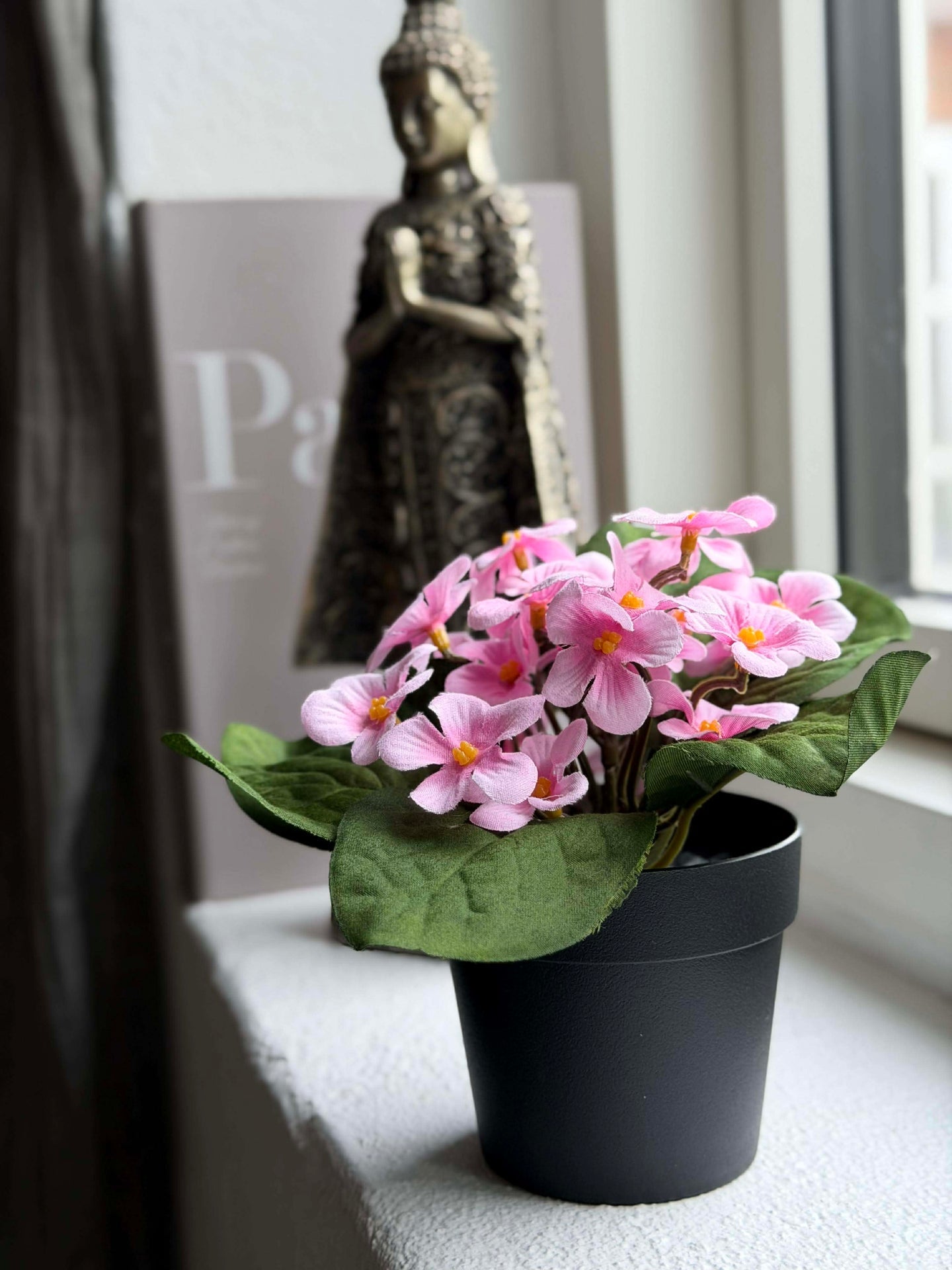 Saintpaulia i potte - flere farger