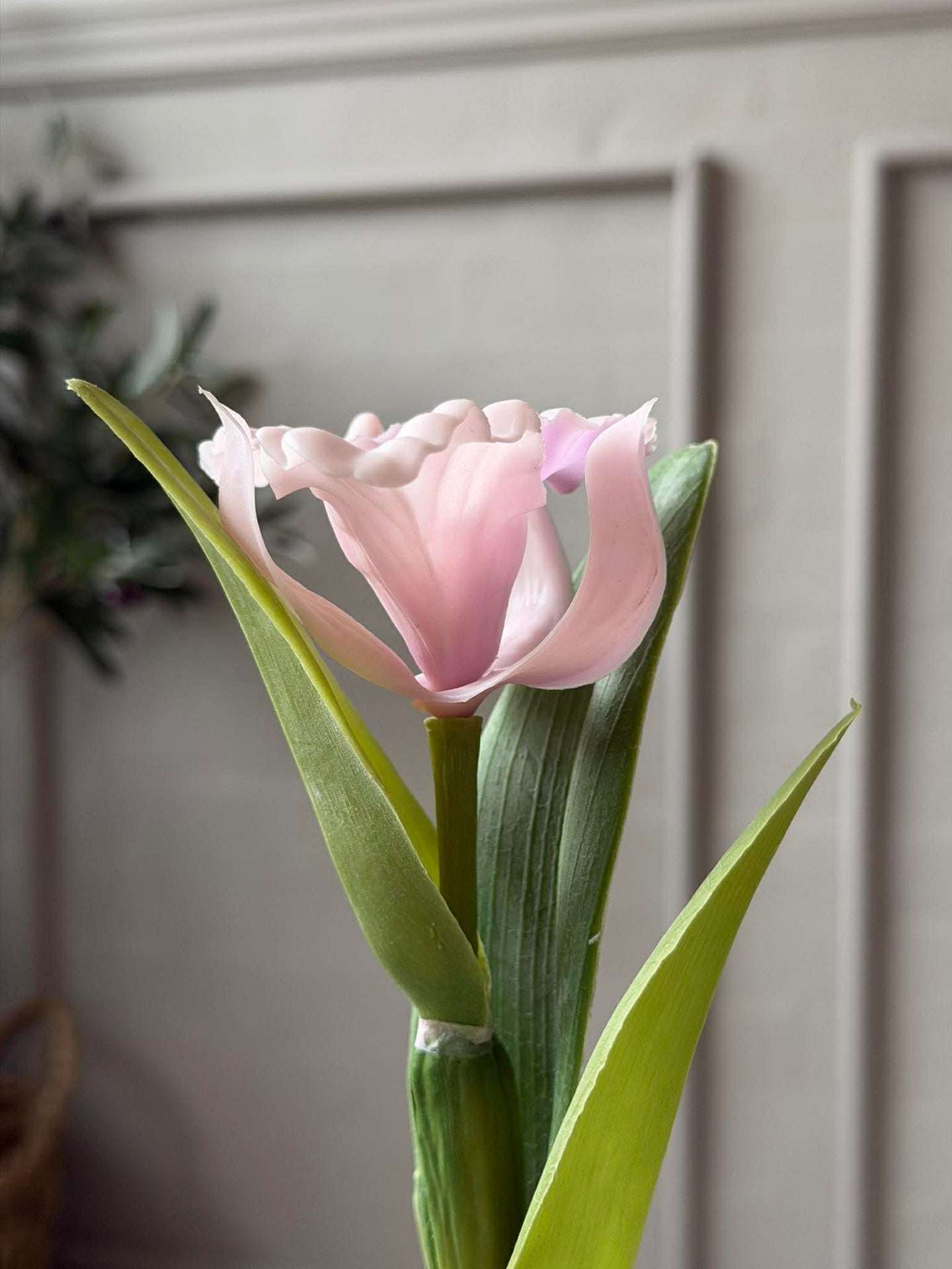 Orkidé i potte rosa - Flere størrelser
