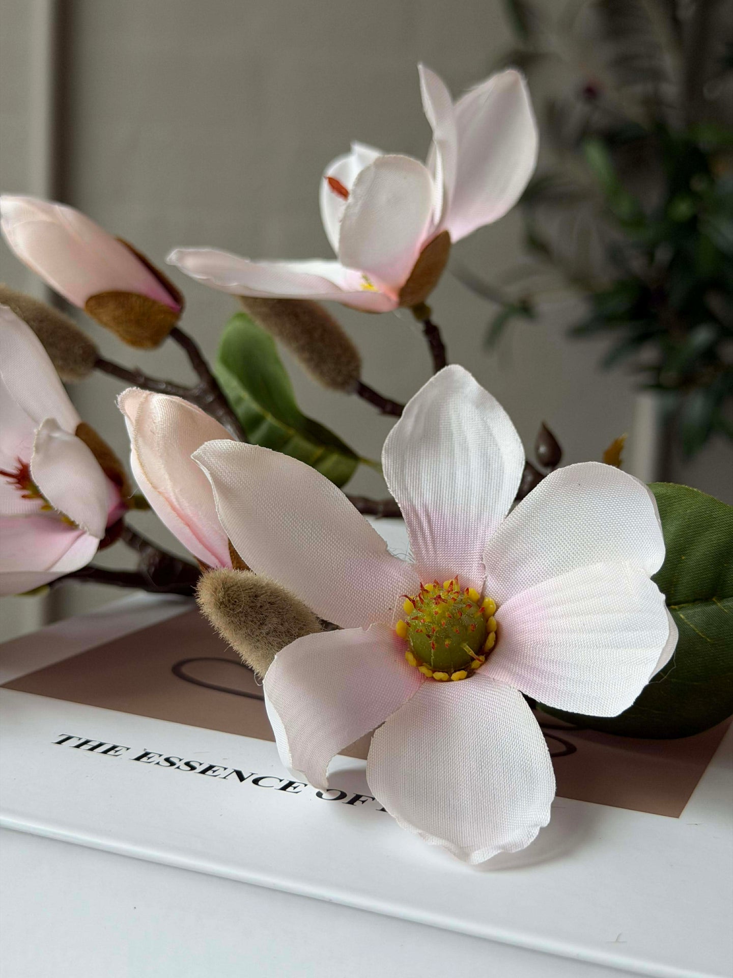 Magnoliagren - Rosa 52 cm