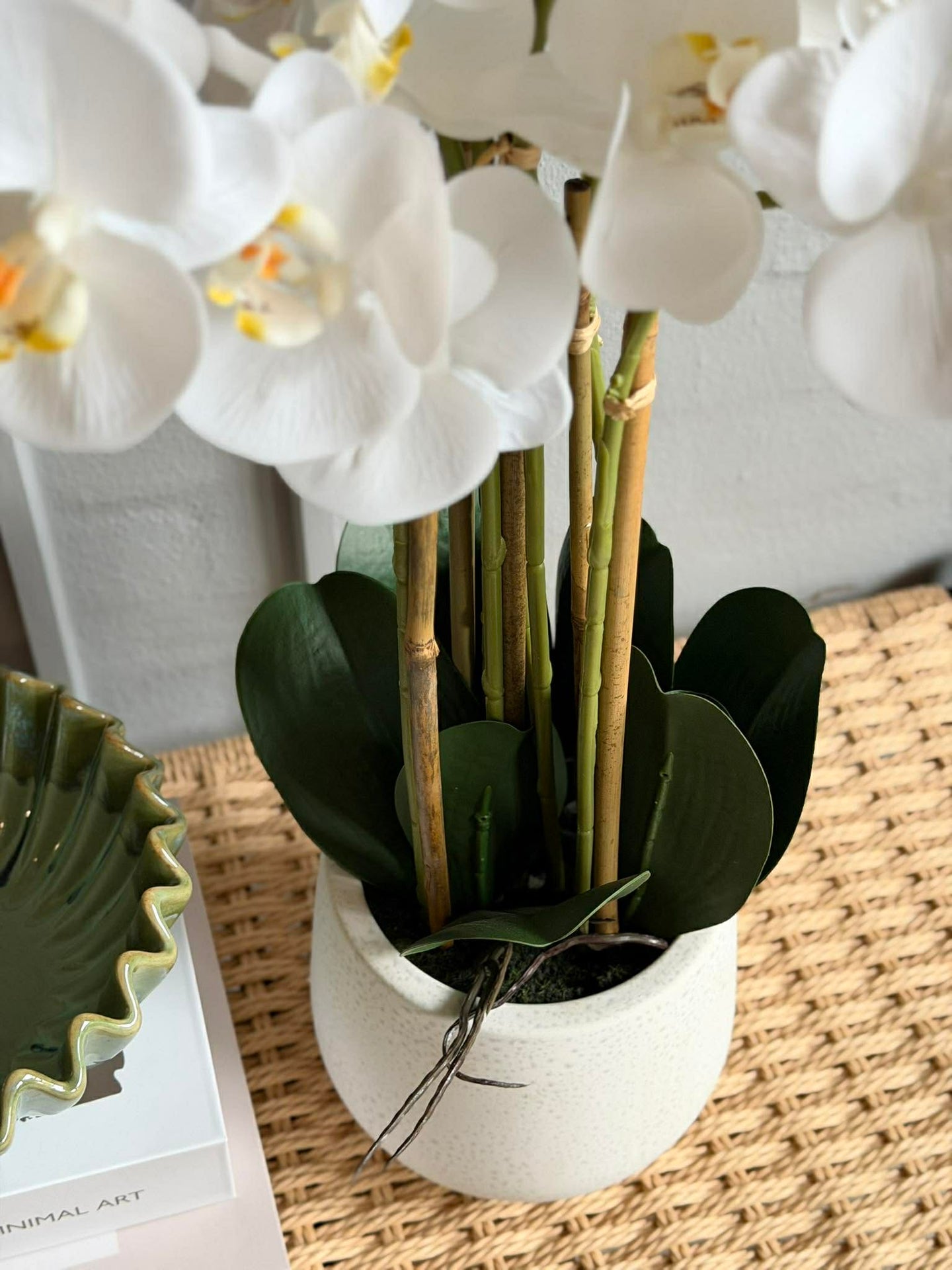 Orkidé i potte 65 cm - Hvit