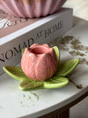Lysestake tulipan - Rosa