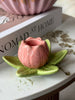 Lysestake tulipan - Rosa
