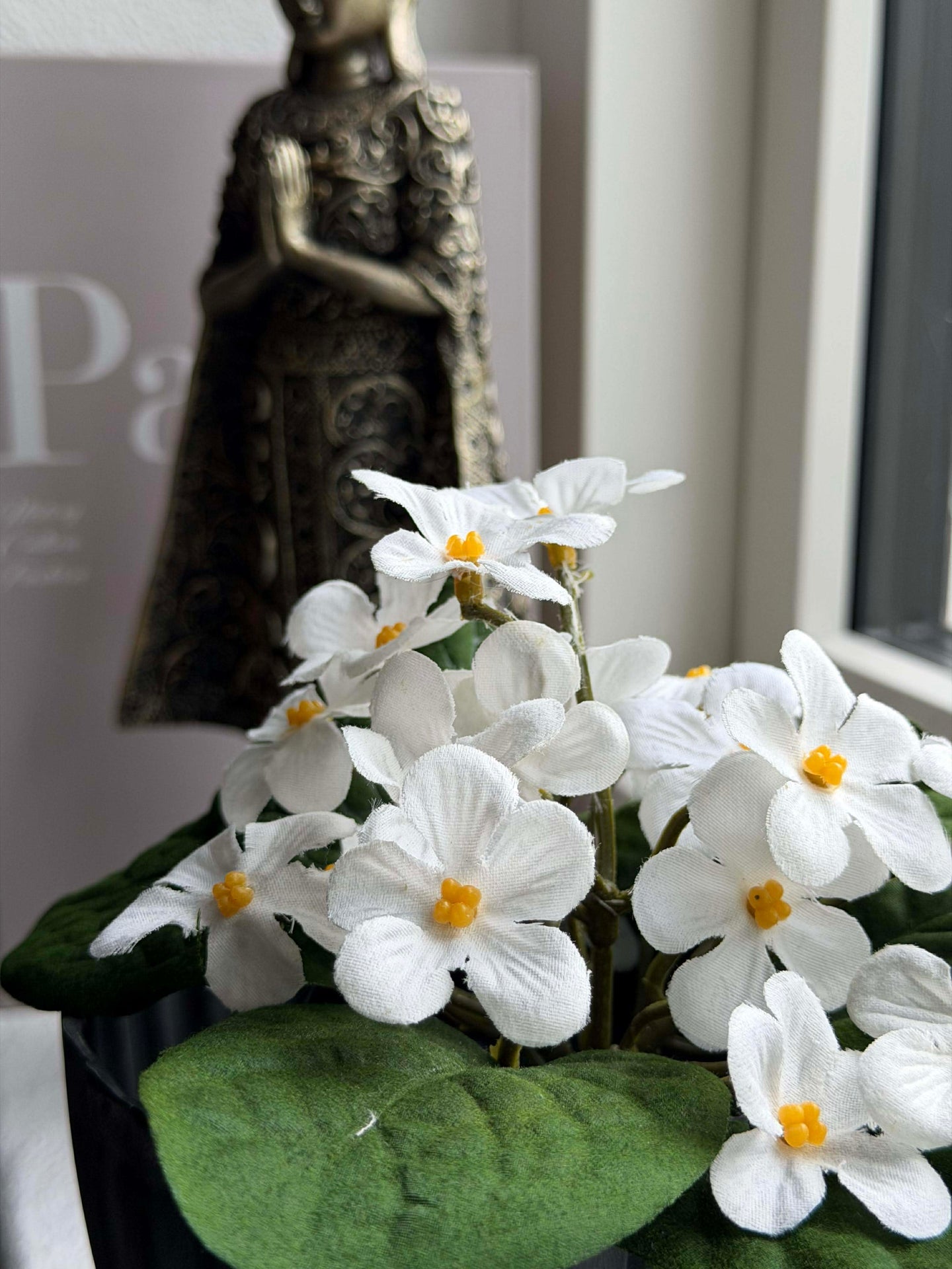 Saintpaulia i potte - flere farger