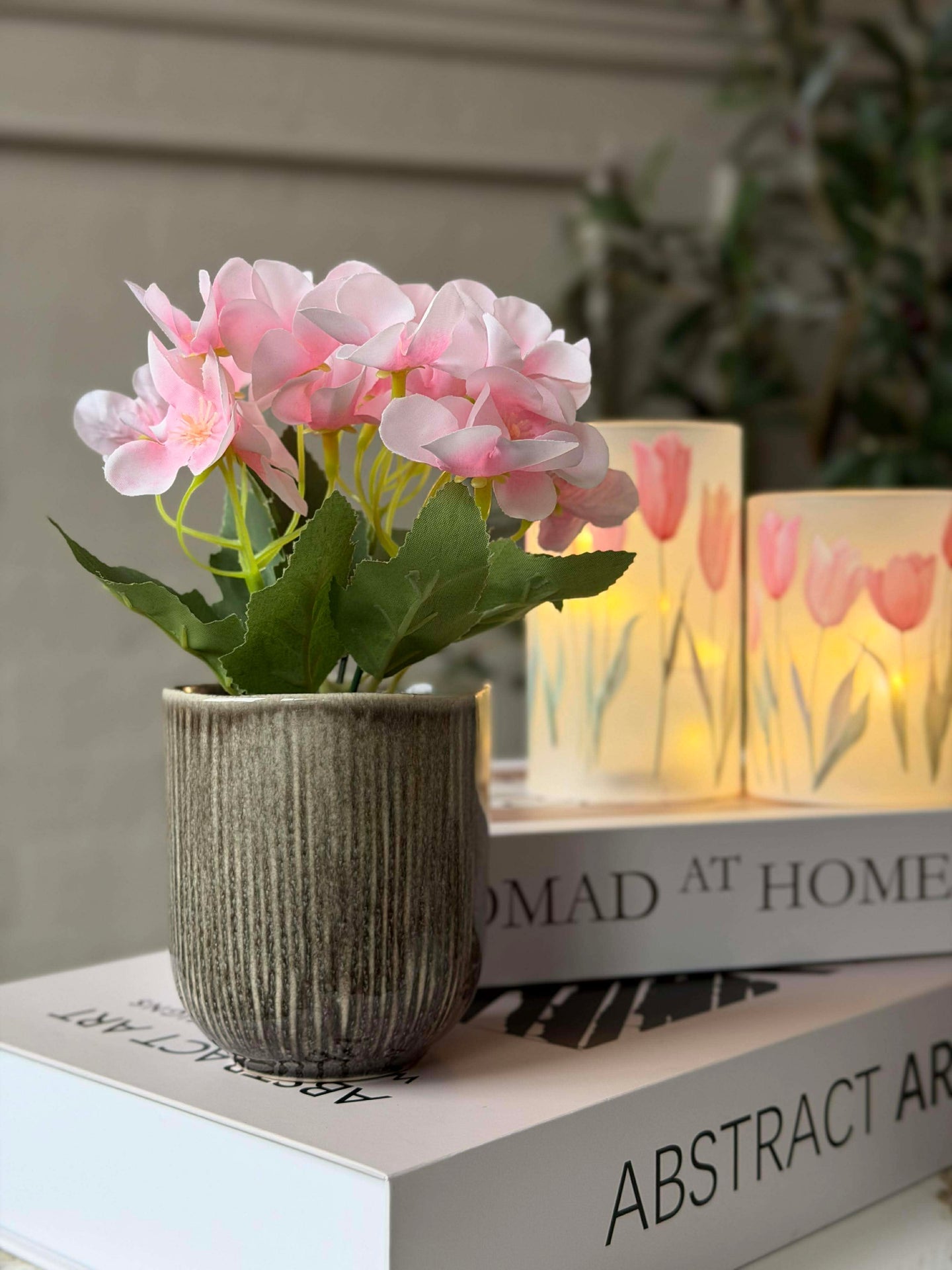 Mini hortensia i potte - flere farger