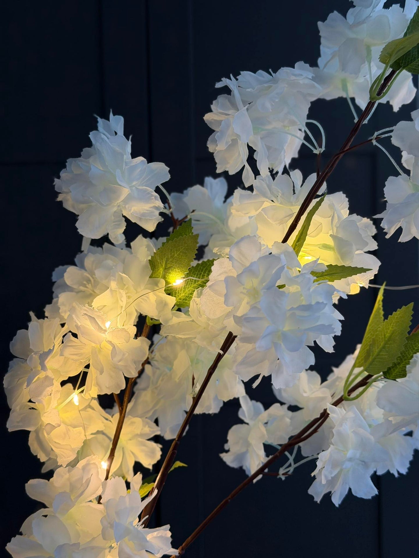 Kirsebærgren med lys - Hvit