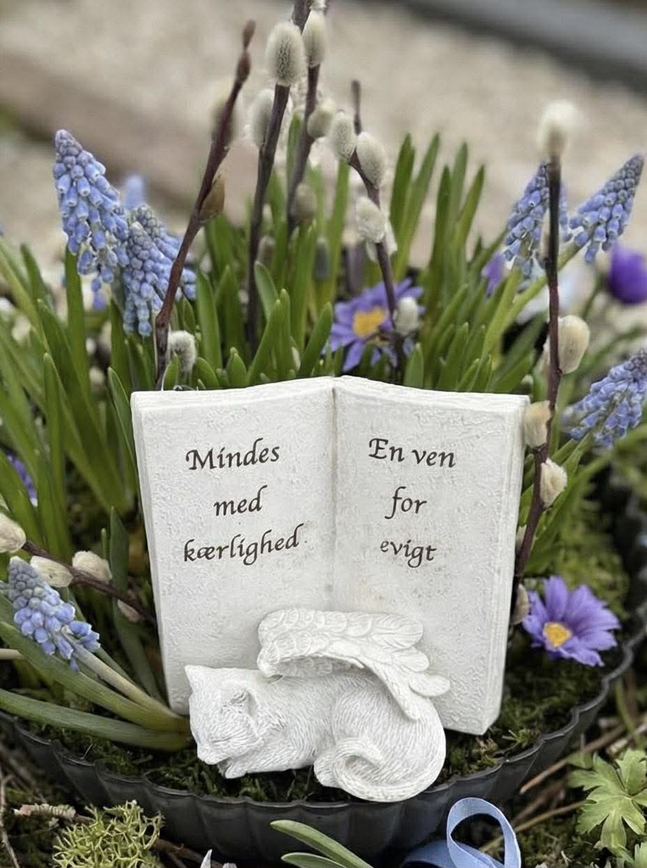 Mindebog - Kat