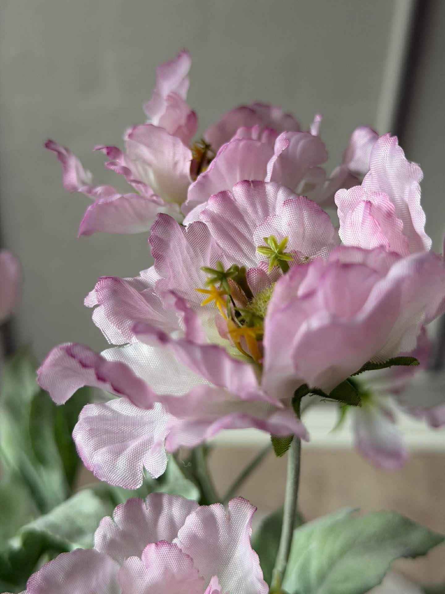 Valmue stilk 62 cm - Rosa