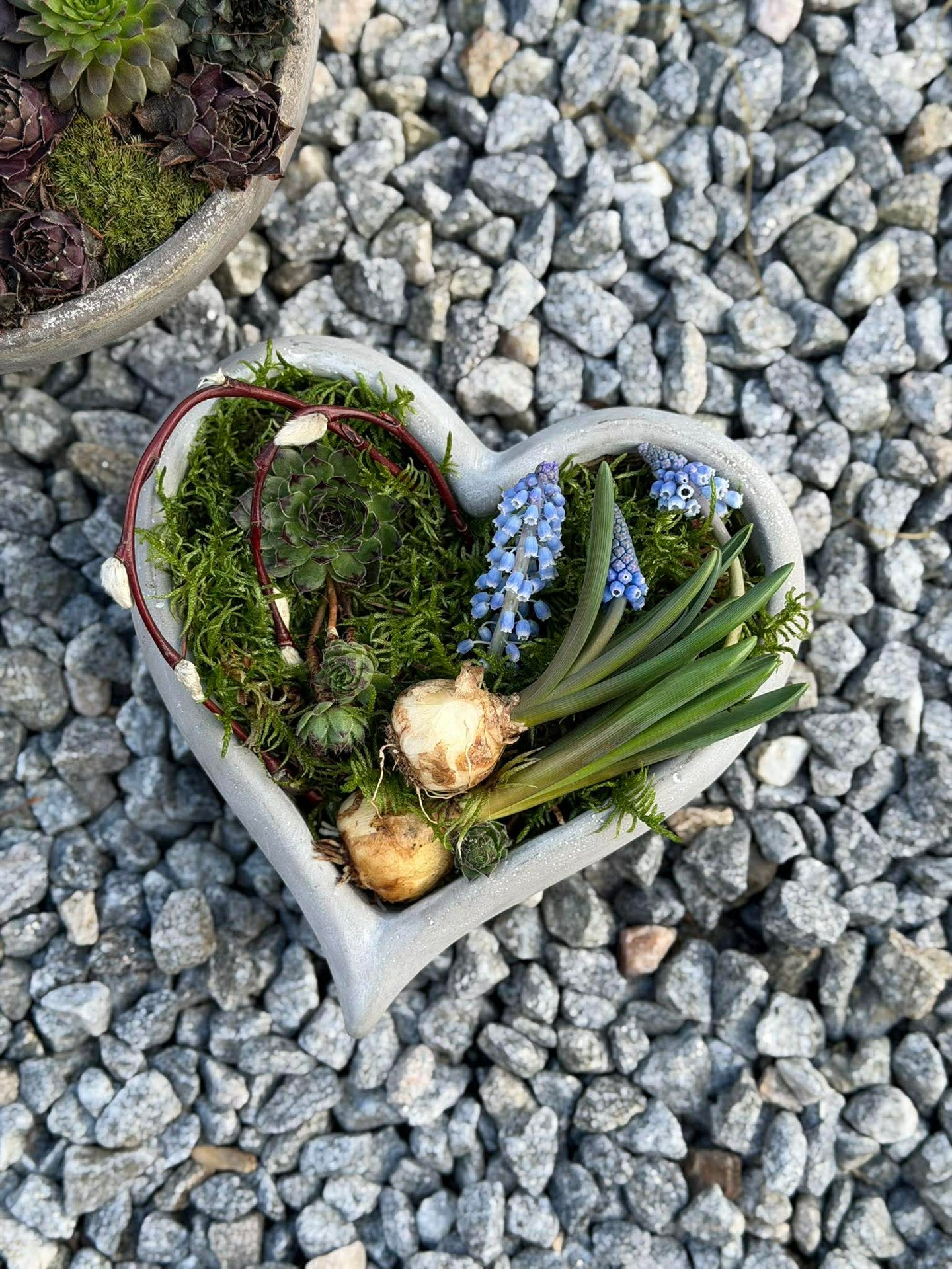 Hjerte til beplantning